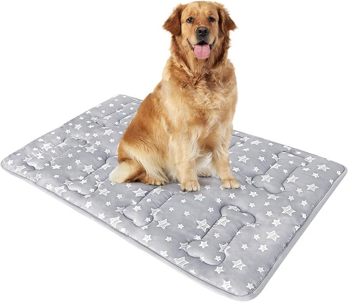 Dog Crate Mat (42" X 28"), Soft Dog Bed Mat with Cute Prints, Personalized Crate Pad, Anti-Slip Bottom, Machine Washable Kennel Pad-PawvioPets