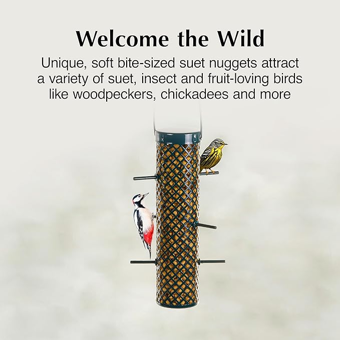 C&S Sunflower Suet Nuggets, Suet Nuggets for Wild Birds, 27 Ounces-PawvioPets