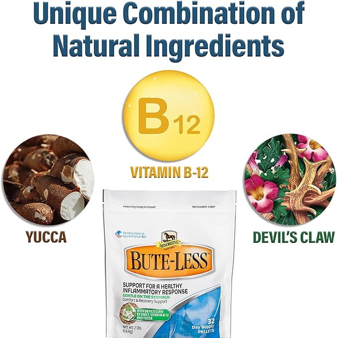 Bute-Less Comfort & Recovery Supplement Pellets, Healthy Inflammatory Response, 2 lb / 32 Day Supply-PawvioPets