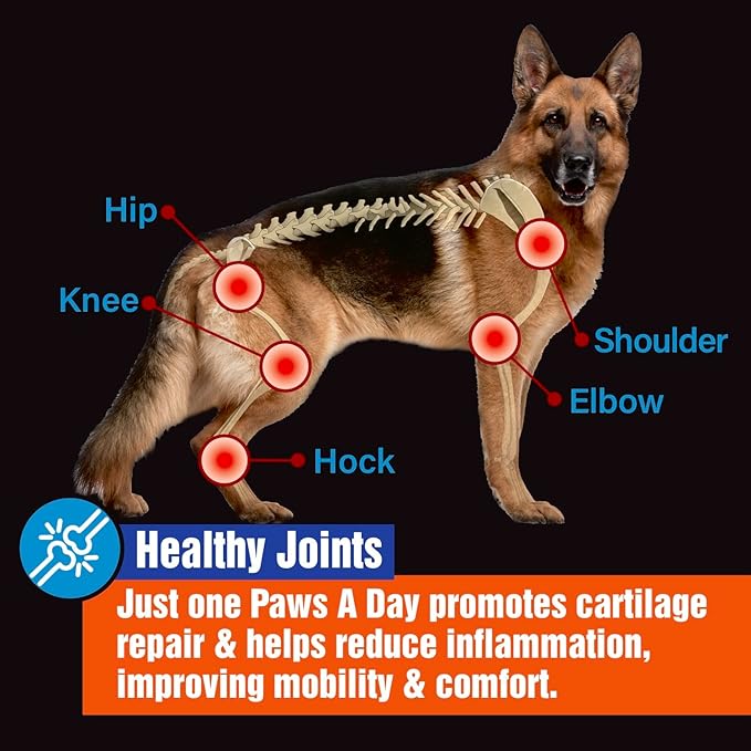 Glucosamine for Dogs Hip & Joint Supplement – “Two-in-One Combo” Dog Joint Care and Improved Skin & Coat with Chondroitin, MSM, Omega 3, Collagen & Biotin, 60 Chewable Tablets-PawvioPets