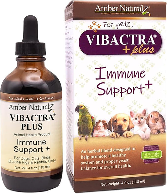Amber NaturalZ Vibactra Plus Herbal Supplement for Dogs, Cats, Birds, Guinea Pigs, and Rabbits | Herbs for Immune Health and Yeast Balance | 4 Fluid Ounce Glass Bottle-PawvioPets