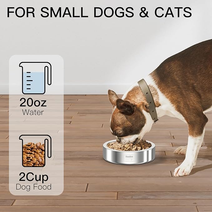20oz Stainless Steel Cat Food & Water Bowl - Double Walled 304 Stainless Steel Non-Slip Cat Dish | BPA-Free & Dishwasher Safe for Indoor Cats-PawvioPets
