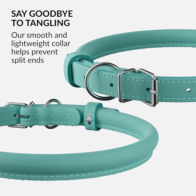 CollarDirect Rolled Leather Dog Collar, Soft Padded Round Puppy Collar, Handmade Genuine Leather Collar Dog Small Large Cat Collars 13 Colors (13-16 Inch, Mint Green Smooth)-PawvioPets