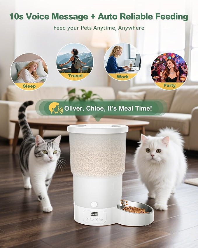 Gimars 5L/20 Cups Automatic Cat Feeder, Programmable 1-6 Meals Cat Food Dispenser with Stainless Steel Bowl, Easy Setup, Dual Power Supply,10s Meal Call Timed Pet Feeder for Cats and Small Dogs-PawvioPets