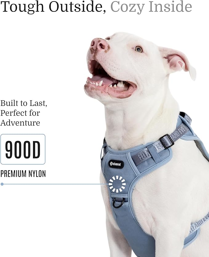 2025 New Edition, Fei & Eve MagEase Dog Harness - 3-Second Magnetic Buckles | 3-Point No-Pull Control | Heavy-Duty 900D Nylon | Dual Safety Handles | Breathable Mesh | Adjustable Fit | Large, Blue-PawvioPets
