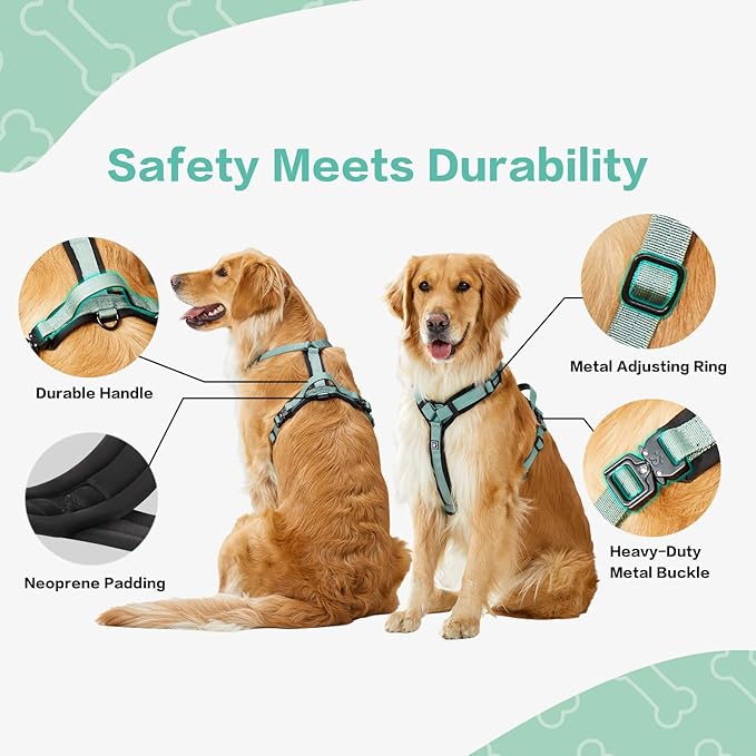 CLEPAWS Dog Harness for Small Dogs, No Pull Dog Harness Easy Walk with Metal Hardware, Ergonomic Y-Shaped Design, Soft Padding, Padded Handle, Durable High-Tensile Nylon (Seabreeze, S)-PawvioPets