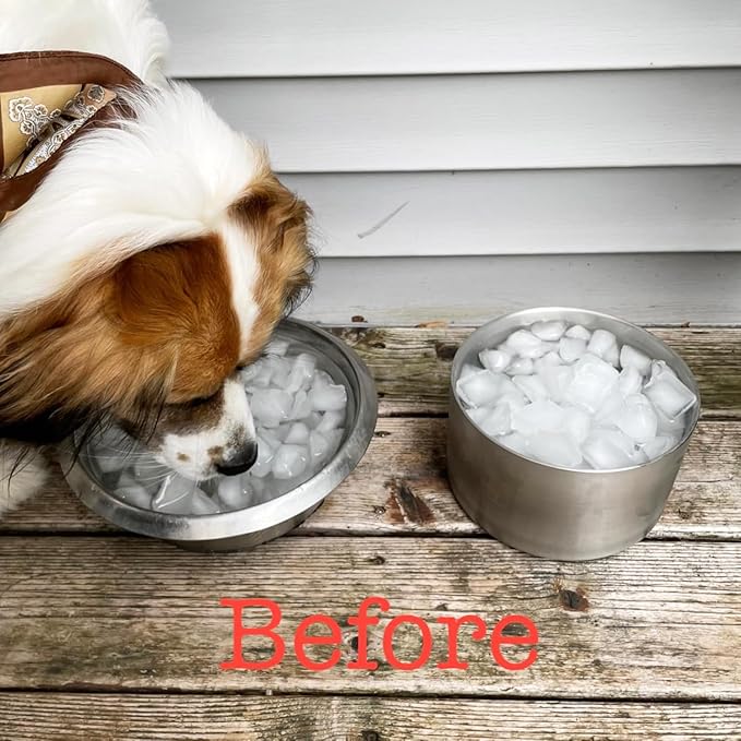 82oz Double Layers 304 Stainless Steel Dog Bowl - Insulated & Durable | Non-Slip Base | Easy to Clean | BPA-Free Safe Dog Food and Water Bowl-PawvioPets