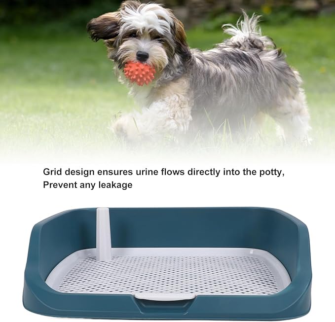 Fabater Dog Potty Toilet Training Tray, Portable Multifunctional Mesh Puppy Training Toilet Pad Holder with Bafflel for Small Dogs Puppies (Peacock Blue)-PawvioPets