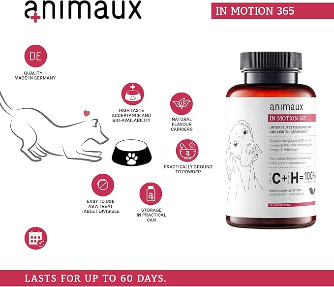 animaux – in Motion 365 for Dogs, Joints, Bones, Mobility, Ligaments and Tendons, Green-Lipped Mussel, Willow Bark and Devil’s Claw, Natural Pain Relief, 60 Chewable Tablets, 60 Days Supply-PawvioPets