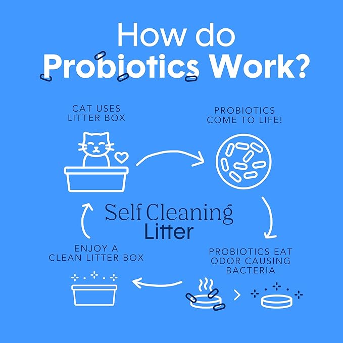 Boxie® Probiotic 40 Day Natural Odor Control Cat Litter, 28lb Clumping Clay Kitty Litter-PawvioPets