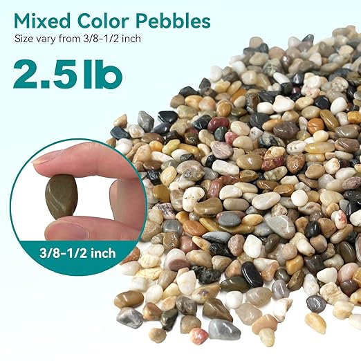 2.5 lbs Pebbles for Indoor Plants, Vase, Succulent, 3/8" Gravel for Plants, Pots Indoor, Bamboo Rocks for Bamboo Plants, Decorative Small River Rock, Highly Polished-PawvioPets