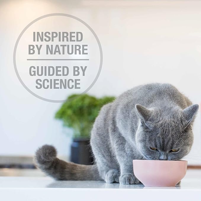 Feline Natural High Protein Dry Cat Food, Freeze-Dried Diet with 98% Meat, Organs & Seafood, No Peas, Grains, or Artificial Additives, Made in New Zealand, Lamb & King Salmon, 11oz-PawvioPets