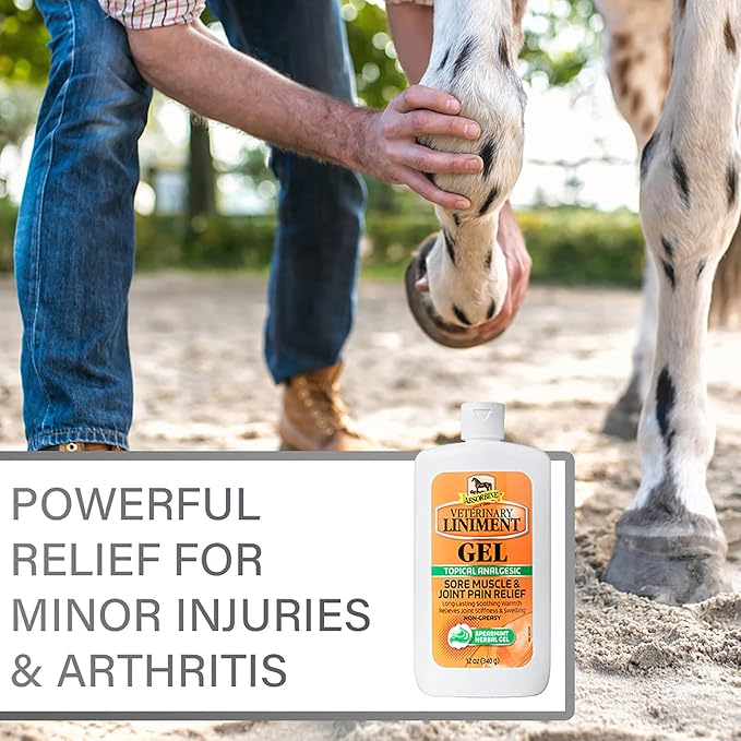 Absorbine Veterinary Liniment Topical Analgesic Sore Muscle and Arthritis Pain Relief Warming Liniment Rub, 12 Ounce Gel-PawvioPets