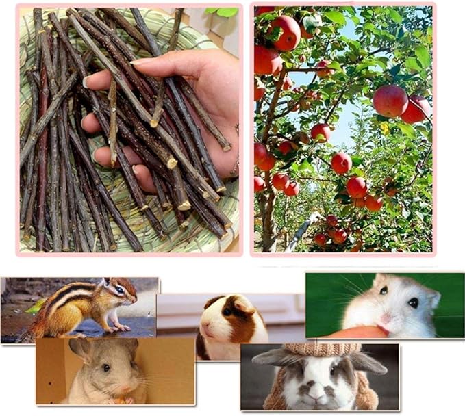 500g Apple Sticks Small Animals Molar Wood Toys for Rabbits Chinchillas Guinea Pig Hamster Gerbil Bunny and Small Animal Chew Stick Toys-PawvioPets