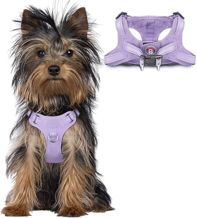 BARKBAY Dog Harness, Reflective Adjustable Puppy No Pull Harness, Breathable Soft for Small and Medium Dogs, Violet Purple, XXS-PawvioPets