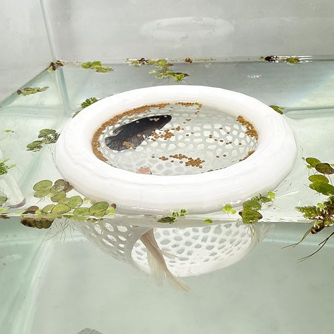 Aquarium Floating Betta Fish Skins, Betta or Shrimp Feeder, Cave and Hammock, Small Fish Feeding Rings, Aquarium Hiding Feeding Decorative Accessories (White)-PawvioPets