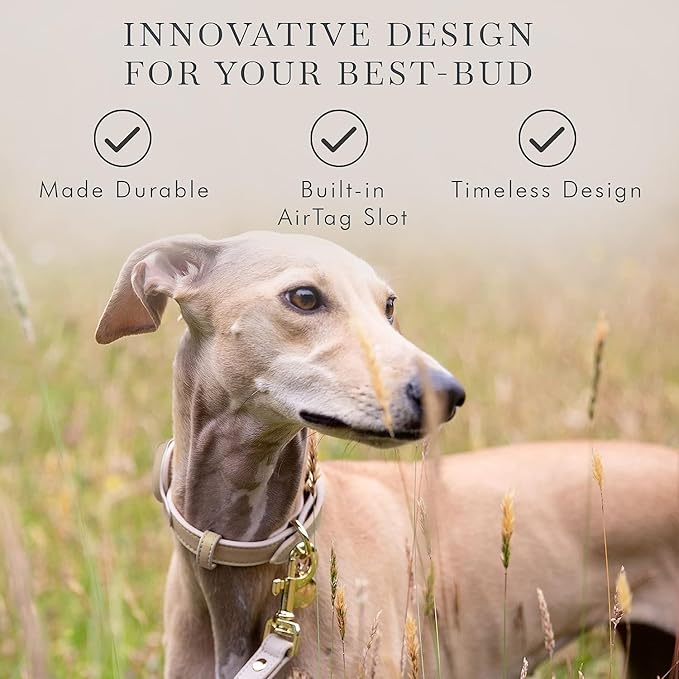 Cupertino Dog Collars, Harnesses & Leashes Made from Vegan Leather with Dog Tracker Device Holder Adjustable Dog Collar (Medium, Beige)-PawvioPets