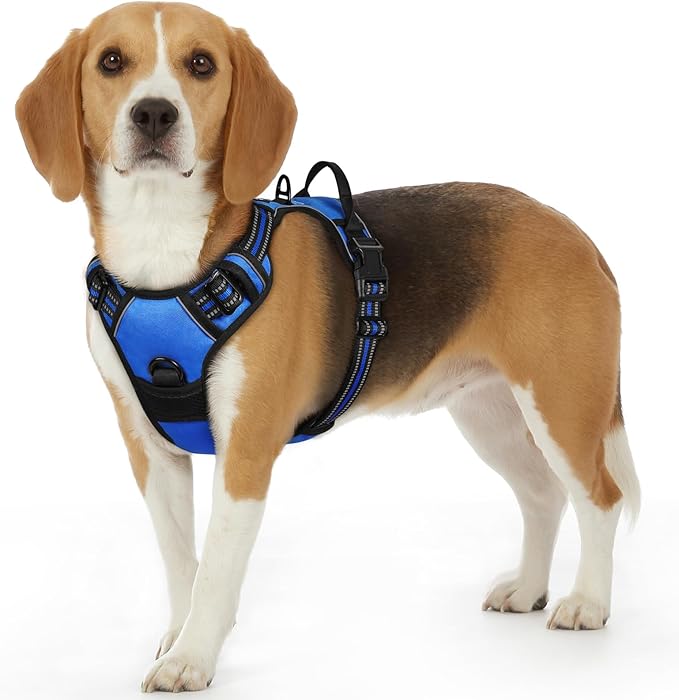 Eagloo Dog Harness Small Sized Dog, No Pull Service Vest with Reflective Strips and Control Handle, Adjustable and Comfortable for Walking, No Choke Pet Harness with 2 Metal Rings, Blue, S-PawvioPets