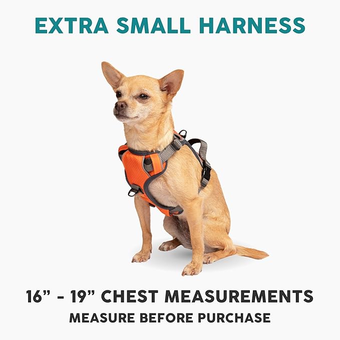 Embark Adventure Dog Harness, No-Pull Reflective Trim Dog Harness for Small, Medium & Large Dogs - Military Grade Nylon, 2 Leash Clips & Gel Lined Handle. Soft & Padded Puppy Dog Vest for Any Breed-PawvioPets