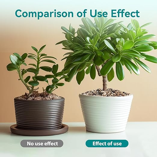 2.5 lbs Pebbles for Indoor Plants, Vase, Succulent, 3/8" Gravel for Plants, Pots Indoor, Bamboo Rocks for Bamboo Plants, Decorative Small River Rock, Highly Polished-PawvioPets