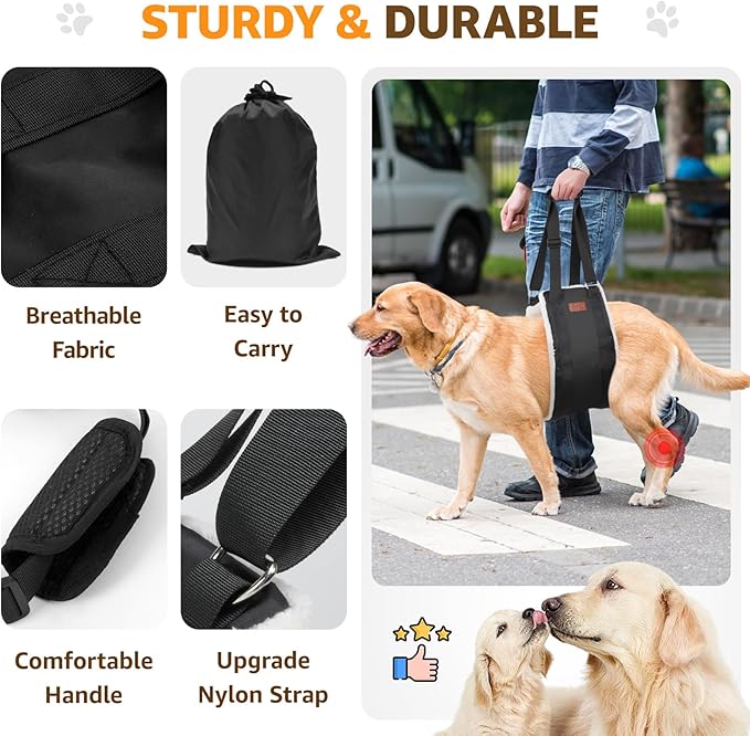 Adjustable Dog Lift Harness, Dog Sling for Large Dogs Lift Support and Rehab Harness for Weak Rear Legs, Soft Hind Leg Support Helps Senior, Injured,Disabled and After ACL Surgery Dogs(Black,X-Large)-PawvioPets