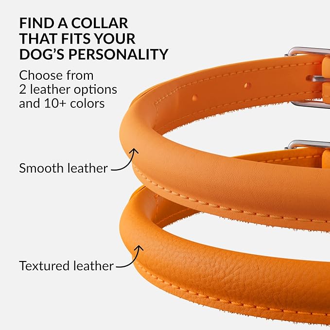 CollarDirect Rolled Leather Dog Collar, Soft Padded Round Puppy Collar, Handmade Genuine Leather Collar Dog Small Large Cat Collars 13 Colors (8-11 Inch, Orange Smooth)-PawvioPets