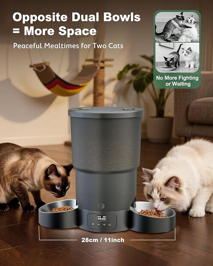 Gimars 5L Automatic Cat Feeder for 2 Cats, Programmable 1-6 Meals Cat Food Dispenser with Stainless Steel Bowl, Easy Setup, Dual Power Supply,10s Meal Call Timed Pet Feeder for Cats and Small Dogs-PawvioPets