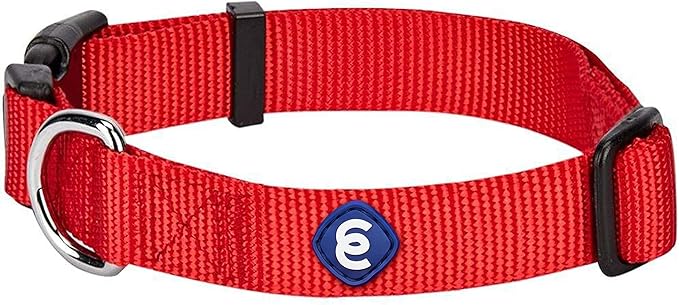 Blueberry Pet X-Small Dog Collar | Girl Dog Collars | Female Dog Collar XS | Quick Release Dog Collar | Rouge Red Nylon Dog Collar for Girl, Collar for Small Dogs-PawvioPets