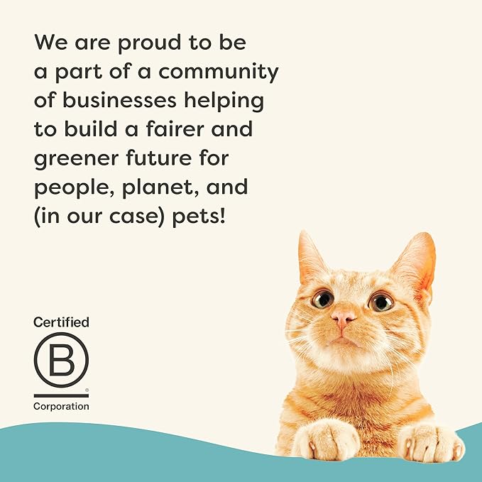 Applaws Vitality Wet Cat Food Paté, Natural Canned Cat Food, Wet Food for Cats with Added Vitamins and Minerals, Grain Free, Carrageenan Free, Tuna Fillet and Mackerel Recipe (24 Count, 2.47 oz Cans)-PawvioPets