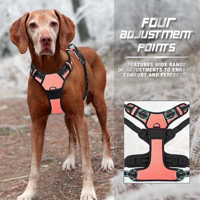 BARKBAY No Pull Dog Harness Front Clip Heavy Duty Reflective Easy Control Handle for Large Dog Walking(Light Pink,S)-PawvioPets