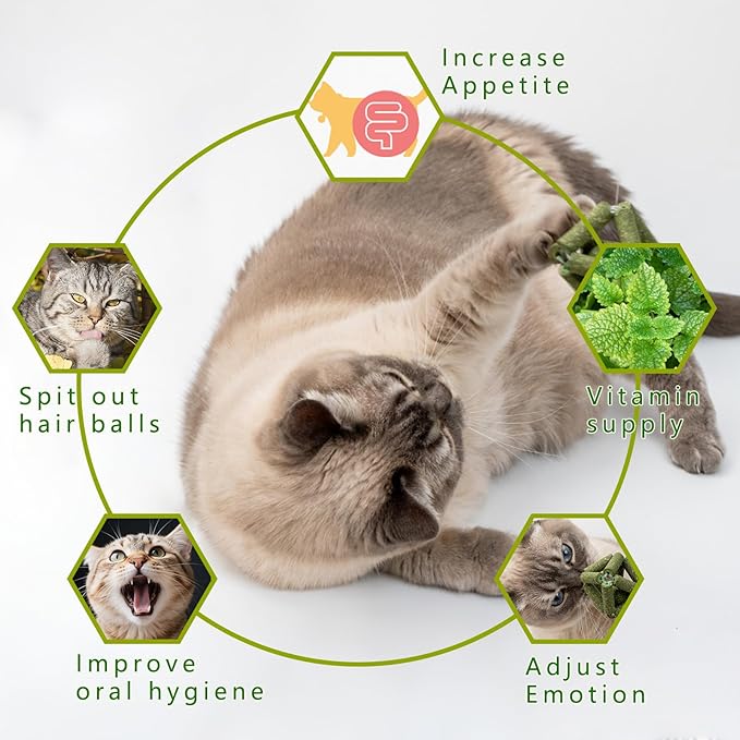 Cat Catnip Toys,2Pcs Catnip Ball for Cats,Toys for Indoor Cats,Cat Chew Exercise Toy for All Breeds and Species,Enhances Oral and Dental Health-PawvioPets