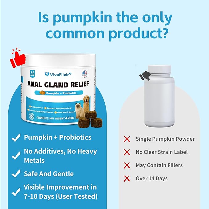 Cat Constipation Relief - Chewable Tablets - with Pumpkin, Psyllium Husk, Prebiotics & Probiotics - Supports Gut Hydration, Bowel Regularity & Immune Health - 120 Tablets-PawvioPets