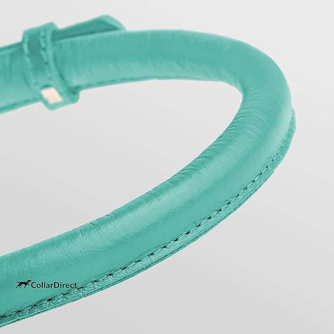 CollarDirect Rolled Leather Dog Collar, Soft Padded Round Puppy Collar, Handmade Genuine Leather Collar Dog Small Large Cat Collars 13 Colors (6-7 Inch, Mint Green Textured)-PawvioPets