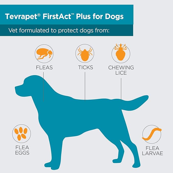 FirstAct Plus Flea Treatment for Dogs, Large Dogs 45-88 lbs, 6 Doses, Same Active Ingredients as Frontline Plus Flea and Tick Prevention for Dogs-PawvioPets