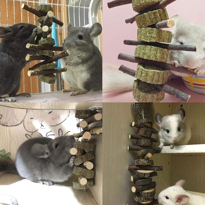 Bunny Chew Toys for Teeth, Organic Apple Wood Molar Sticks with Timothy Hay Circles for Bunny Chinchilla Guinea Pig Hamsters Holland Lop Prairie Dogs Squirrels Gerbils, Improves Dental Health-PawvioPets