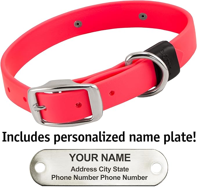 Biothane Custom Dog Collar – Waterproof, Stink-Proof Personalized Collar with Name & Phone Number – Durable, Many Sizes and Colors – Assembled in USA – Assembled in USA (Hot Pink)-PawvioPets
