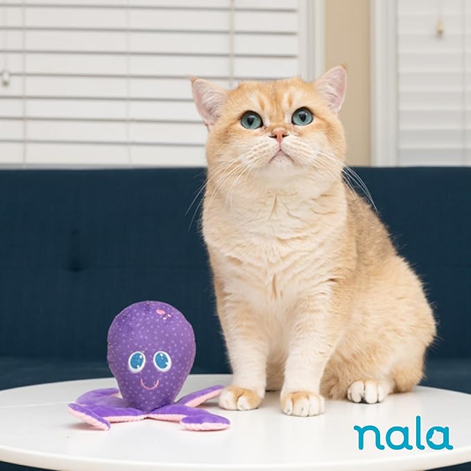 Caitec Presents Nala Cat Ollie The Octopus - Catnip Toy - Interactive Cat Toy - Chew Toy - Pillow Toy, 2 Pack-PawvioPets