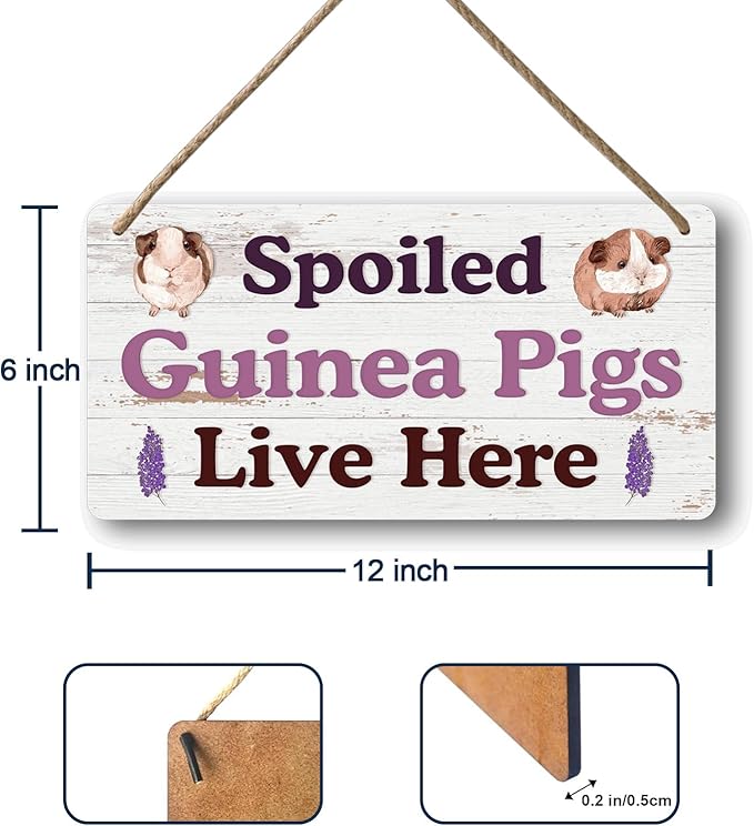 Big Hamster Ball & Guinea Pig Hideout - Stuffed Animals & Accessories for Guinea Pig Cage - 12x6 In Wooden Sign-PawvioPets