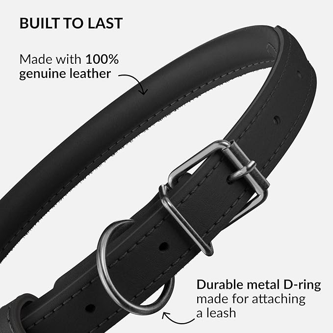 CollarDirect Rolled Leather Dog Collar, Soft Padded Round Puppy Collar, Handmade Genuine Leather Collar Dog Small Large Cat Collars 13 Colors (11-14 Inch, Black Smooth)-PawvioPets