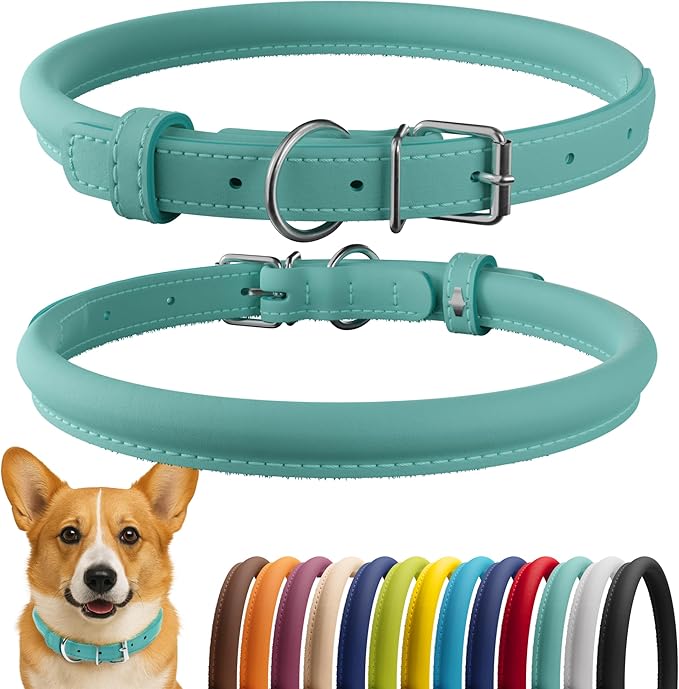 CollarDirect Rolled Leather Dog Collar, Soft Padded Round Puppy Collar, Handmade Genuine Leather Collar Dog Small Large Cat Collars 13 Colors (13-16 Inch, Mint Green Smooth)-PawvioPets