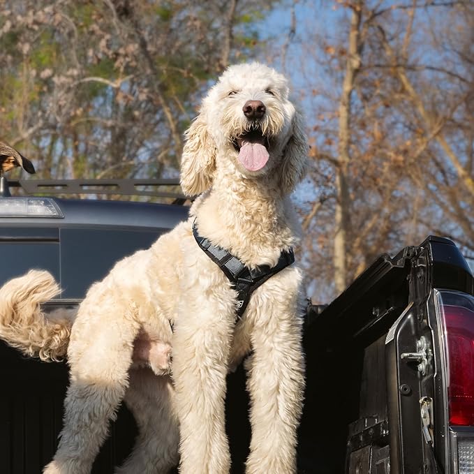 CLEPAWS Dog Harness for Medium Dogs, No Pull Dog Harness Easy Walk with Metal Hardware, Ergonomic Y-Shaped Design, Soft Padding, Padded Handle, Durable High-Tensile Nylon (Nightfall, M)-PawvioPets