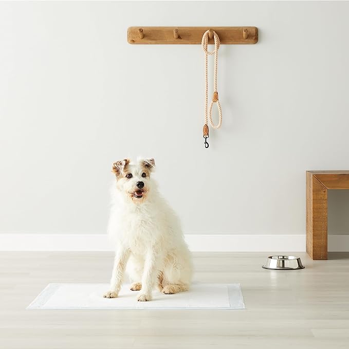 Amazon Basics X-Large Absorbent Puppy Pads, Leak-Proof, Quick-Dry, 28 x 34 Inches, Pack of 50, Blue & White-PawvioPets