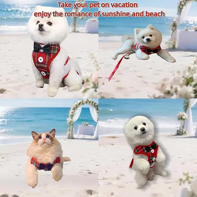 Dog Tuxedo for Wedding, Formal Pet Suit with Bow Tie and Leash, Adjustable Dog Costume for Small Medium Large Dogs, Birthday Christmas Halloween Party Apparel, M（8-14LB）-PawvioPets