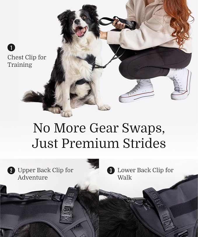 2025 New Edition, Fei & Eve MagEase Dog Harness - 3-Second Magnetic Buckles | 3-Point No-Pull Control | Heavy-Duty 900D Nylon | Dual Safety Handles | Breathable Mesh | Adjustable Fit | Small, Black-PawvioPets