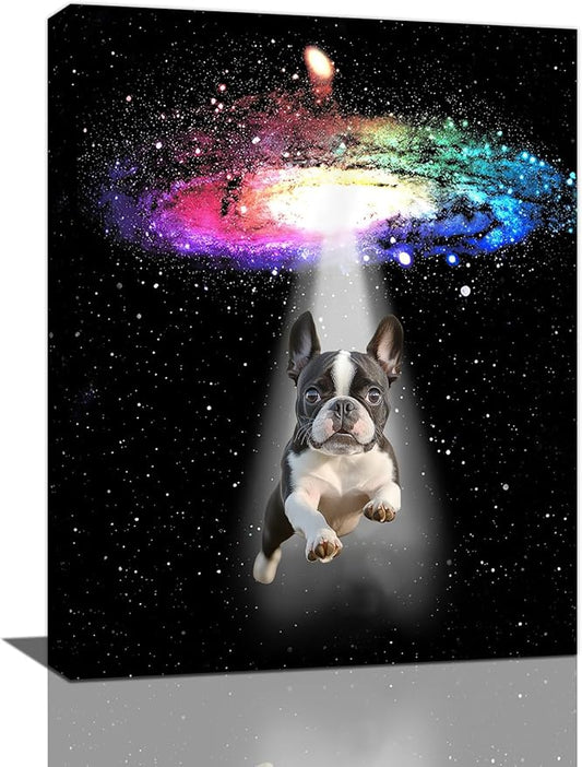 Funny Dog Wall Art Canvas Boston Terrier Wall Decor Prints Framed Painting Bulldog Galaxy Pictures Gifts Artwork for Bathroom 12"x16"-PawvioPets