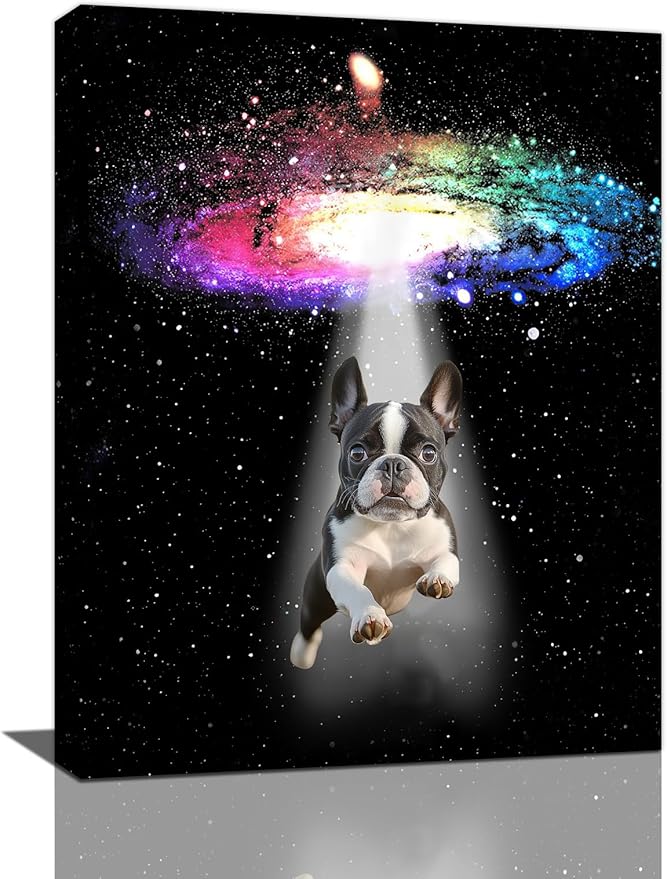 Funny Dog Wall Art Canvas Boston Terrier Wall Decor Prints Framed Painting Bulldog Galaxy Pictures Gifts Artwork for Bathroom 16"x20"-PawvioPets