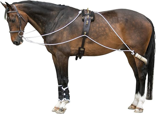 Advanced European Training System | Advanced Training Tool | Enhances Horse Carriage and Headset | Encourages Forward Movement | Strengthens Key Muscles | Not for Beginners-PawvioPets