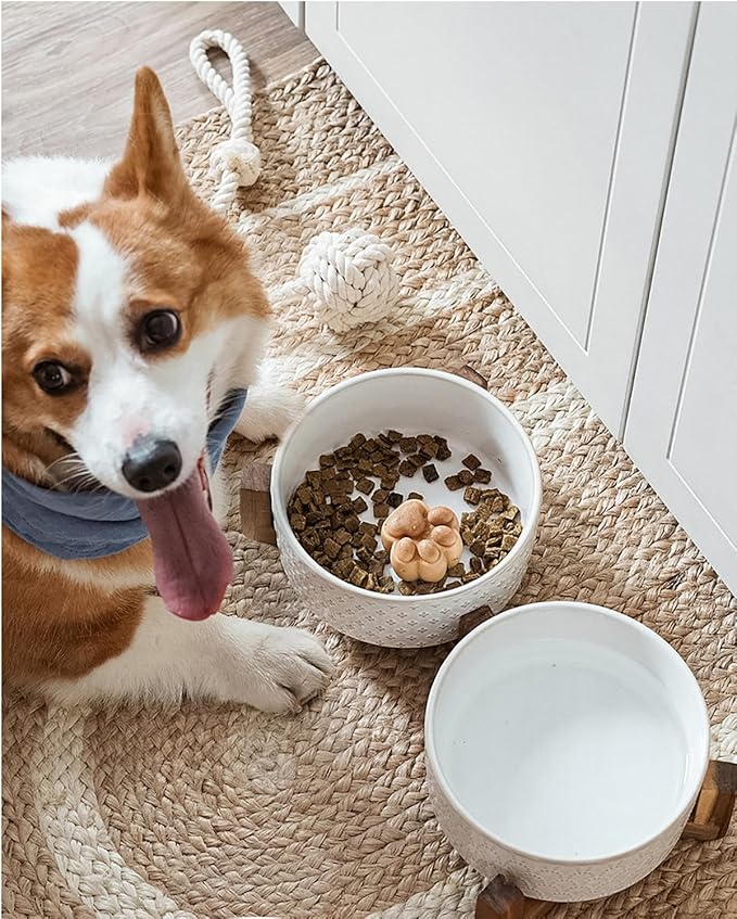 Dog Bowls Ceramic for Small Medium Dogs - 3-Cup Dual Food & Water Bowl Set with Acacia Wood Stand, Non-Slip Anti-Tip Elevated Design-PawvioPets