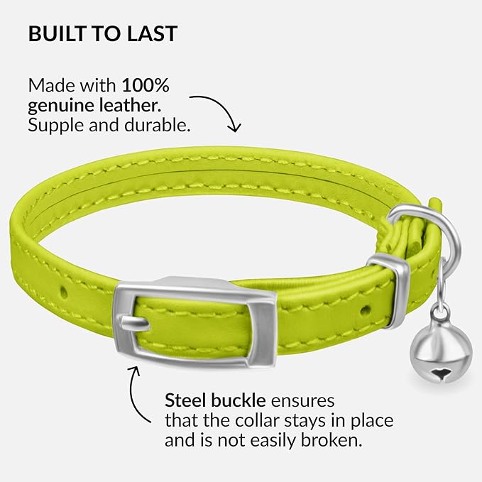 CollarDirect Leather Cat Collar with Bell - Kitten Collar, Small and Big Cat Collar for Boy Cats, Girl Cats with Safety Elastic Strap (Neck Fit 8"-11", Lime Green)-PawvioPets