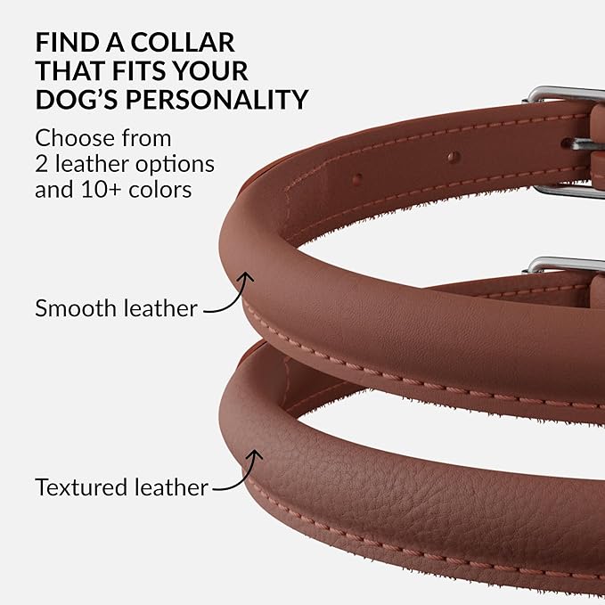 CollarDirect Rolled Leather Dog Collar, Soft Padded Round Puppy Collar, Handmade Genuine Leather Collar Dog Small Large Cat Collars 13 Colors (6 Inch, Cinnamon Smooth)-PawvioPets